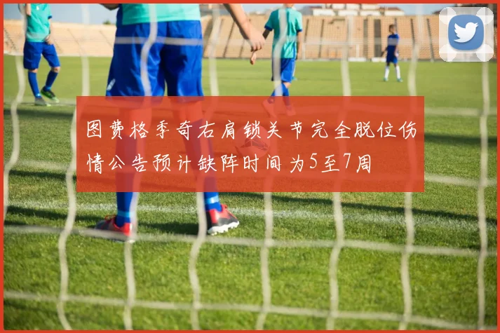 图费格季奇右肩锁关节完全脱位伤情公告预计缺阵时间为5至7周