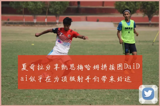 夏奇拉分享凯恩梅哈姆拼接图DaiDai似乎在为顶级射手们带来好运