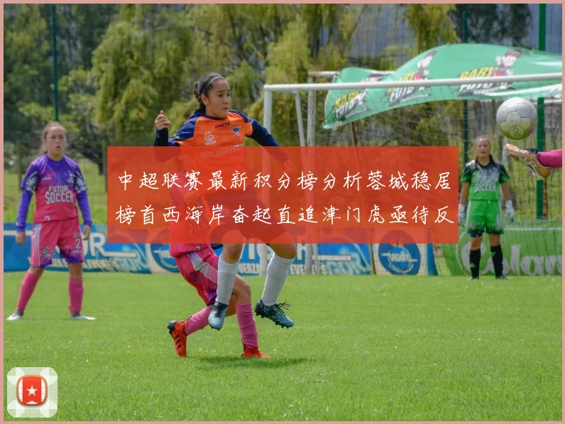中超联赛最新积分榜分析蓉城稳居榜首西海岸奋起直追津门虎亟待反弹