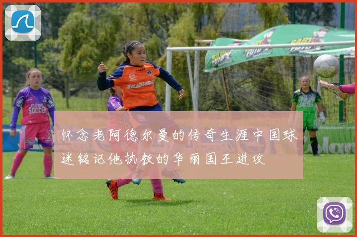 怀念老阿德尔曼的传奇生涯中国球迷铭记他执教的华丽国王进攻