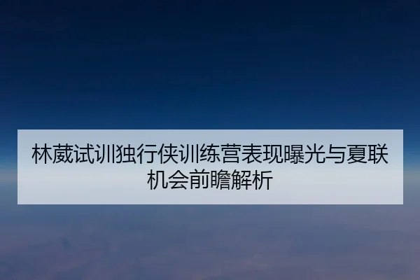 林葳试训独行侠训练营表现曝光与夏联机会前瞻解析